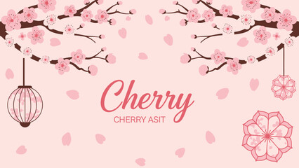 Cherry Blossom Branches with Falling Petals and Lanterns, Pink Background