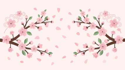 Cherry Blossom Branches with Falling Petals on Pink Background