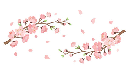 Cherry Blossom Branches with Falling Petals