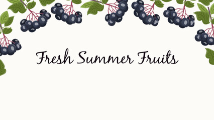 Aronia vector banner with dark berries and green leaves. Cartoon botanical fruit frame on white background for web design, food ads, packaging and seasonal layouts.