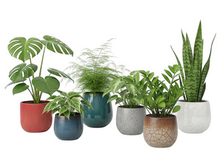 Obraz premium Collection of potted plants isolated on transparent background