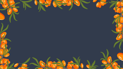Summer vector background with sea buckthorn branches, orange berries and green leaves. Botanical frame on dark blue  for web banners, food branding and natural product design.