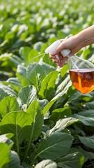 Hand Spraying Liquid on Green Leafy Plants in a Field
