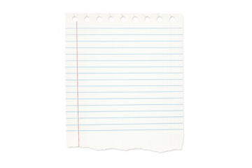 Torn lined paper sheet with punch holes, an empty notebook page for school notes and office messages, transparent background