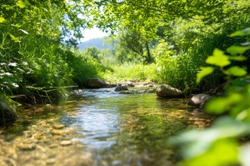 Serene River Flowing Gently Through Untouched Forest Landscape in Nature