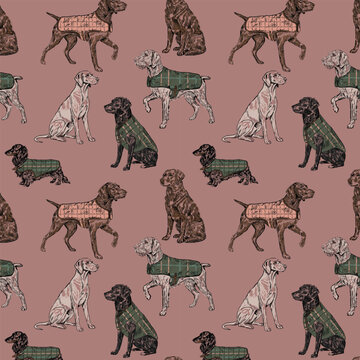 Classic hand drawn seamless pattern with hunting dogs (pointers, dachshunds) wearing tweed and plaid jackets.