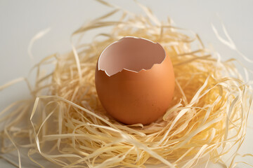 Cracked Eggshell in a Nest of Straw