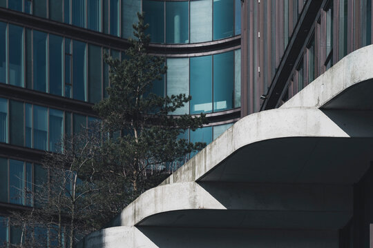 Modern architecture building facade with glass balconies and concrete structure in urban area including tree for contrast and contemporary exterior
