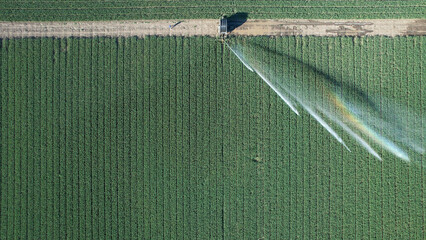 Fototapeta premium Rotary sprinkler irrigating a lush green agricultural field, highlighting crucial water management practices for sustainable farming and climate change adaptation