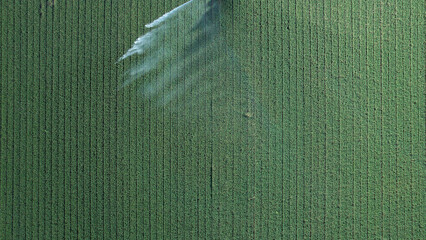 Fototapeta premium Rotary sprinkler system efficiently irrigating a lush green crop field from an aerial perspective, demonstrating modern agricultural practices and water conservation for food security