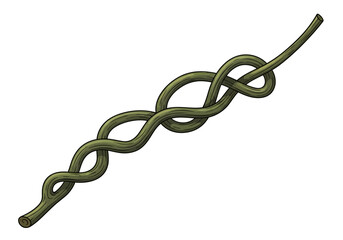 Obraz premium Digital illustration of a twisted green rope, intertwined and coiled, with a diagonal orientation and a plain background, viewed from a straightforward angle.