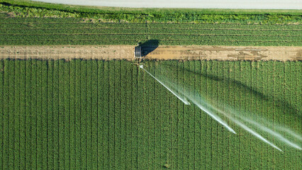 Obraz premium Rotary sprinkler system delivering water to rows of green crops in an agricultural field, illustrating modern irrigation techniques crucial for water management and crop yield