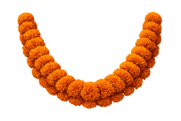 Vibrant orange marigold garland decorating for diwali, indian festivals, wedding, and special celebrations on transparent background