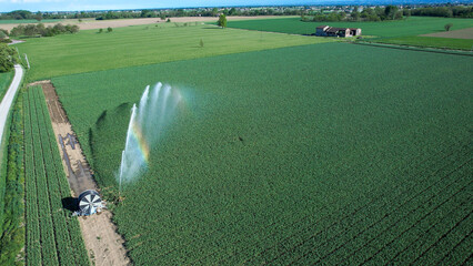 Aerial view showing green crop field with efficient irrigation system adapting to climate change for sustainable agriculture and water management, creating a rainbow effect
