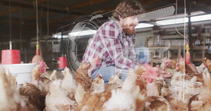 Farmer using digital interface tending chickens in poultry farm setting