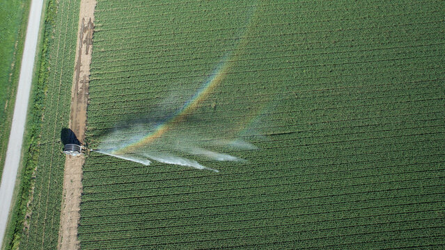 Rotary sprinkler irrigating agricultural crops in a green field, creating a rainbow effect, depicting modern water management strategies and climate change adaptation for sustainable farming