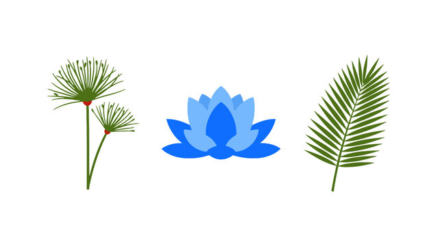Collection of Stylized Botanical Illustrations Blue Lotus Papyrus and Palm Leaf.