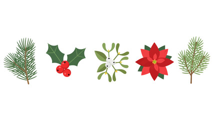 Flat vector Christmas plants pine holly mistletoe poinsettia illustrations set.