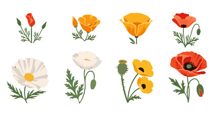 Stylized poppy flowers and buds in vibrant red orange yellow white with green leaves and seed pods.