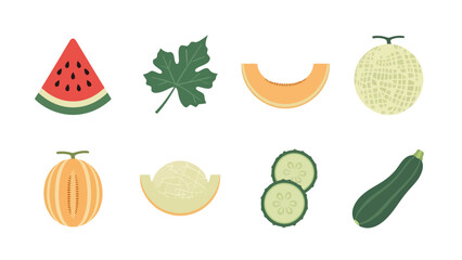 Flat vector illustration set of various melons watermelon cucumber and zucchini.