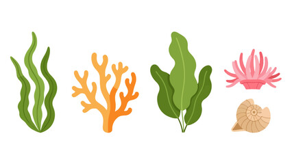 Vibrant flat design marine life collection green seaweeds orange coral pink anemone and spiral seashell.