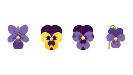 Vibrant stylized pansy flowers vector illustration set with purple and yellow petals flat graphic design.