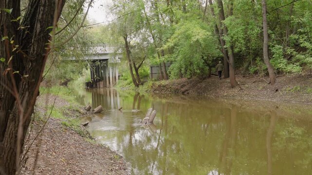 murky river under small concrete bridge, calm reflective water with silt and reeds along leaf strewn banks overgrown trees and canopy frame culvert structure, quiet rural atmosphere, subtle habitat