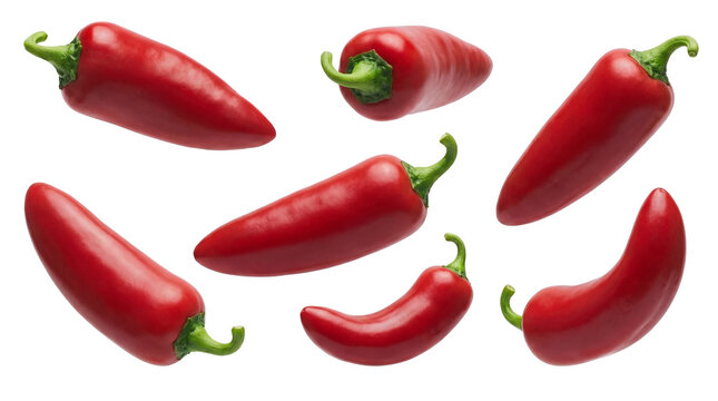 vibrant red jalapeno peppers isolated on a transparent background, captured in a studio setting for culinary and decorative uses.