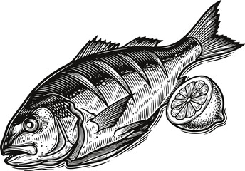 Fresh whole fish with lemon slice detailed vintage seafood illustration