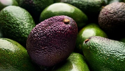 Close Up Ripe Hass Dark Purple Skin Avocado Stands Out Among A Pile Of Unripe Green Avocados
