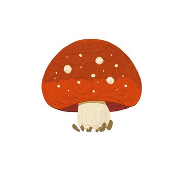 Single chubby mushroom illustration isolated on white background 