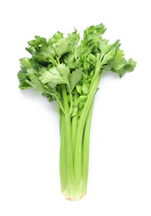 Fresh green celery bunch on white background