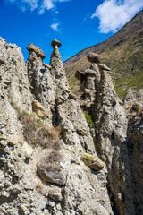 Natural stone mushrooms rock formations in Altai Russia Famous geological landmark and popular tourist attraction