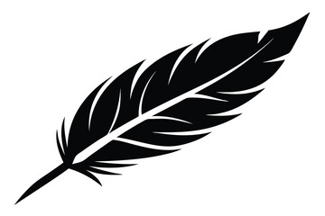 Obraz premium feather silhouette line art vector illustration with a white background