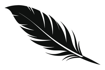 Obraz premium feather silhouette line art vector illustration with a white background