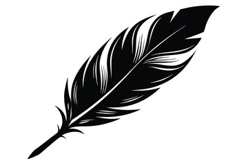 Obraz premium feather silhouette line art vector illustration with a white background