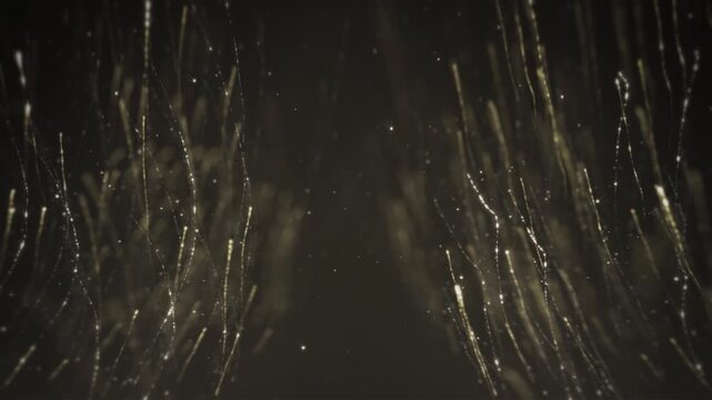 Luxury Presentation with Gold Glitter Particles Streaks for Intro, Advertising, Awards and Titles. Copy Space