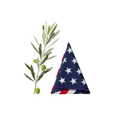 Olive branch and folded American flag