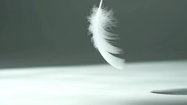 Delicate white feather gently floats in the air, casting a soft shadow on the surface.