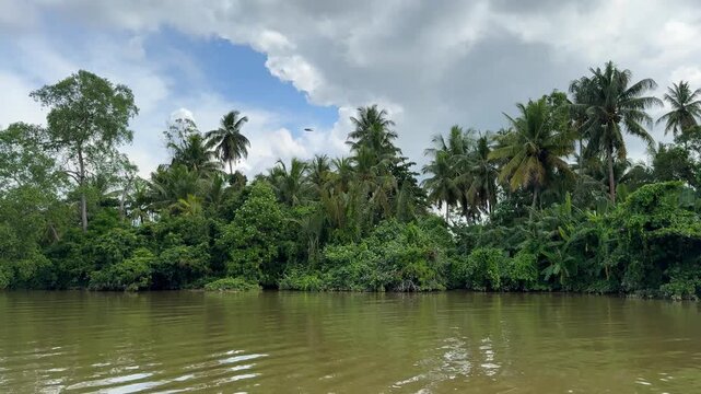 The Nilwana Ganga River in Sri Lanka