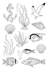 Obraz premium Collection of black and white line art illustrations featuring marine life, seashells, fish, seaweed, and a nautical anchor.