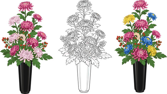 Vector illustration of chrysanthemum flower arrangements in vases including a pink bouquet a line art version and a colorful multi-color design