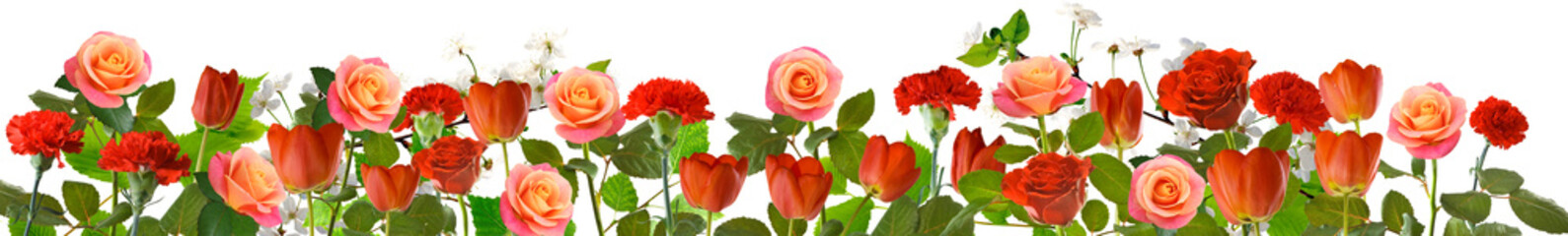 Colorful flowers arranged in a line on a white background for decoration or celebration