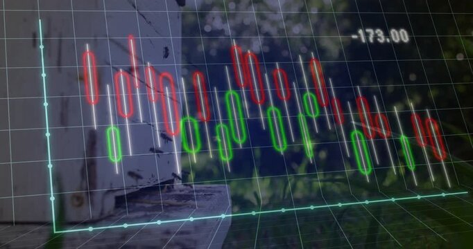 Colorful financial graph animation over blurred outdoor background with trees