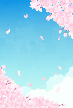 桜と青空のイラスト_縦4