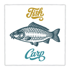 Hand drawn Carp fish illustration in vintage engraving style with lettering. Perfect for seafood design, restaurant branding, menus, labels, posters, and packaging. Part of set.
