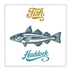 Hand drawn Haddock fish illustration in vintage engraving style with lettering. Perfect for seafood design, restaurant branding, menus, labels, posters, and packaging. Part of set.