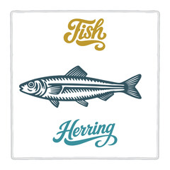 Hand drawn Herring fish illustration in vintage engraving style with lettering. Perfect for seafood design, restaurant branding, menus, labels, posters, and packaging. Part of set.