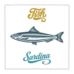 Hand drawn Sardina fish illustration in vintage engraving style with lettering. Perfect for seafood design, restaurant branding, menus, labels, posters, and packaging. Part of set.