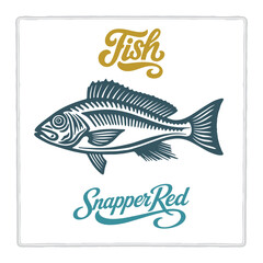 Hand drawn Snapper Red fish illustration in vintage engraving style with lettering. Perfect for seafood design, restaurant branding, menus, labels, posters, and packaging. Part of set.